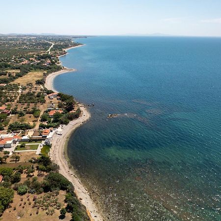 Papi'S Free Parking Villa Alexandroupoli Exterior foto